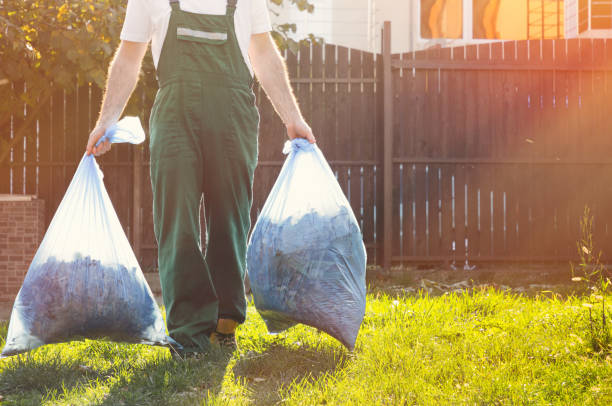 Basement Cleanout Services